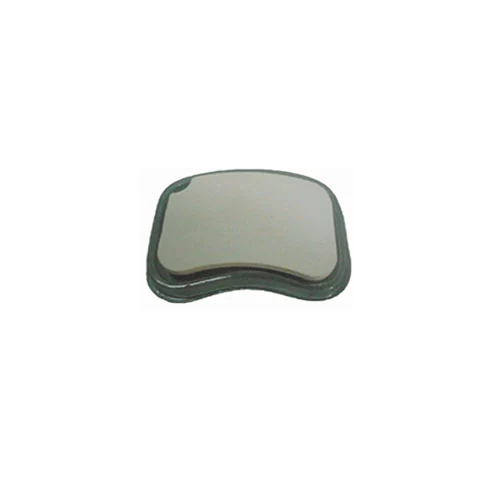 Watering Plate, Mini