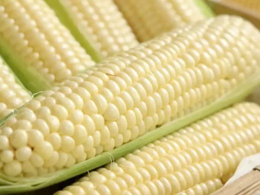 Fresh cob