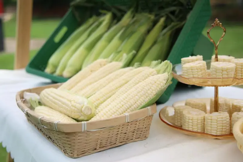 Husked white cobs in a bamboo tray beside cut cob sections on a display stand