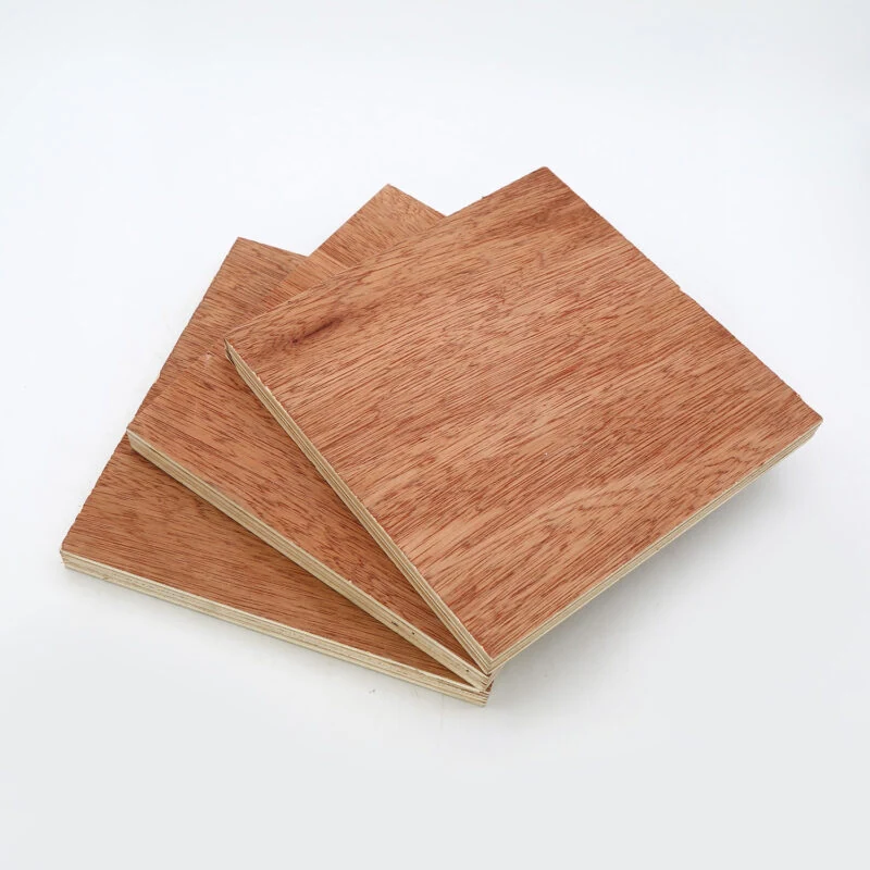 Bintangor Faced Commercial Plywood supplied by YYT Wood