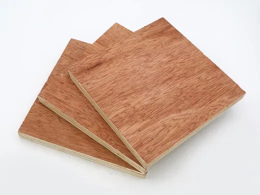 Bintangor Faced Commercial Plywood supplied by YYT Wood