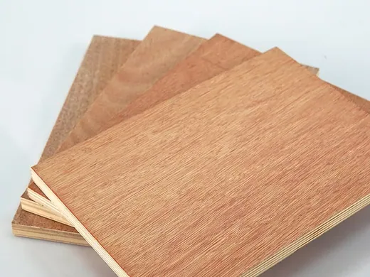 Bintangor Faced Commercial Plywood - commercial plywood detail view 3
