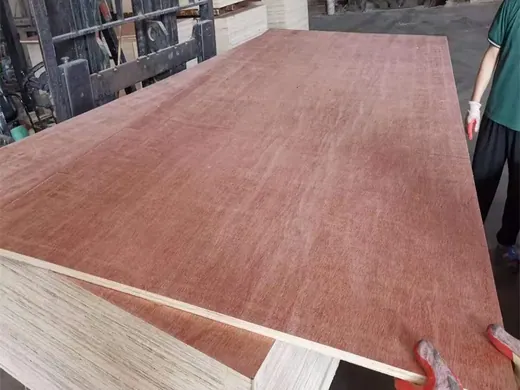 Bintangor Faced Commercial Plywood - commercial plywood detail view 4