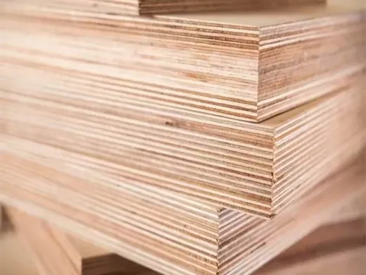 Unfaced Birch Commercial Plywood - commercial plywood detail view 3