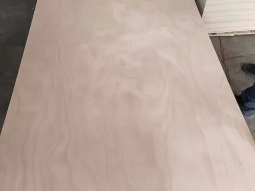 Pine Wood Veneer Faced Commercial Plywood - commercial plywood detail view 3