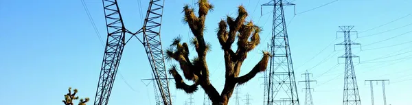Steel lattice transmission towers carrying overhead conductors
