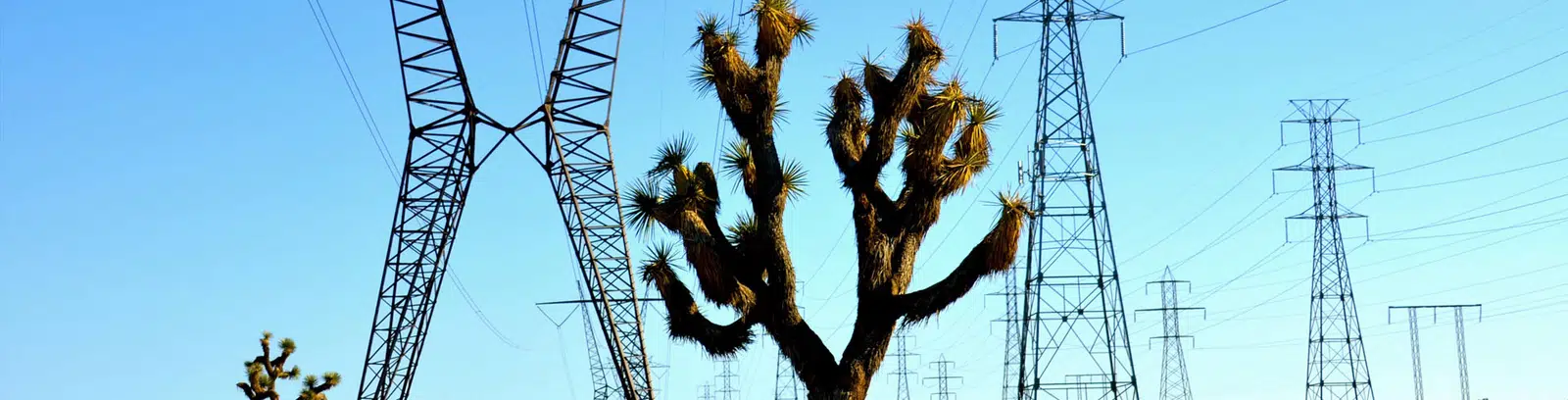 Overhead transmission line towers carrying conductors against a clear sky