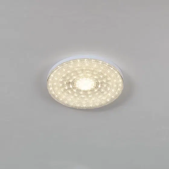 D18-35cm Advanced Sense Ceiling Light in Iron and Plastic, detail view
