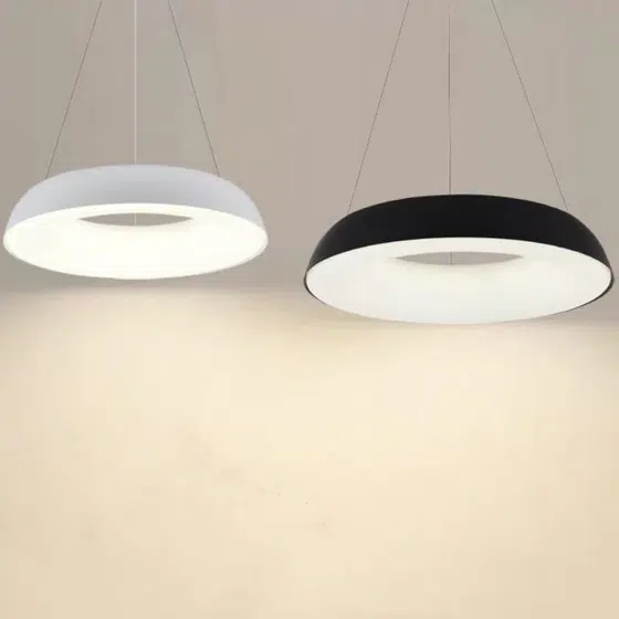 D48/58cm Ring Iron PE Pendant Lamp in Iron and PE, product photograph