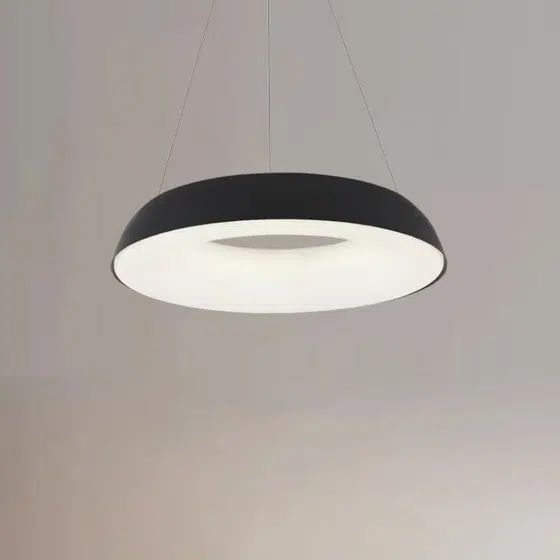 D48/58cm Ring Iron PE Pendant Lamp in Iron and PE, detail view