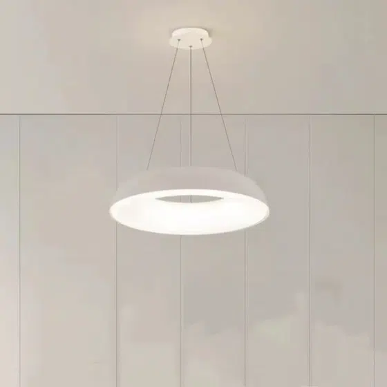 D48/58cm Ring Iron PE Pendant Lamp in Iron and PE, installed view