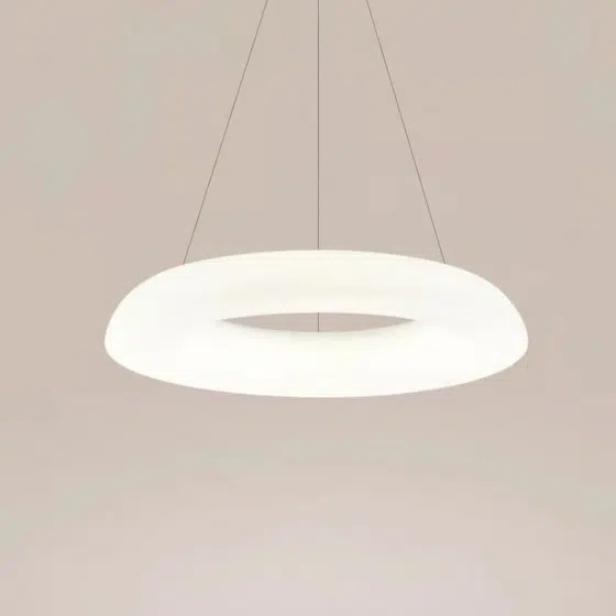 D48/58cm Ring Iron PE Pendant Lamp in Iron and PE, scale view