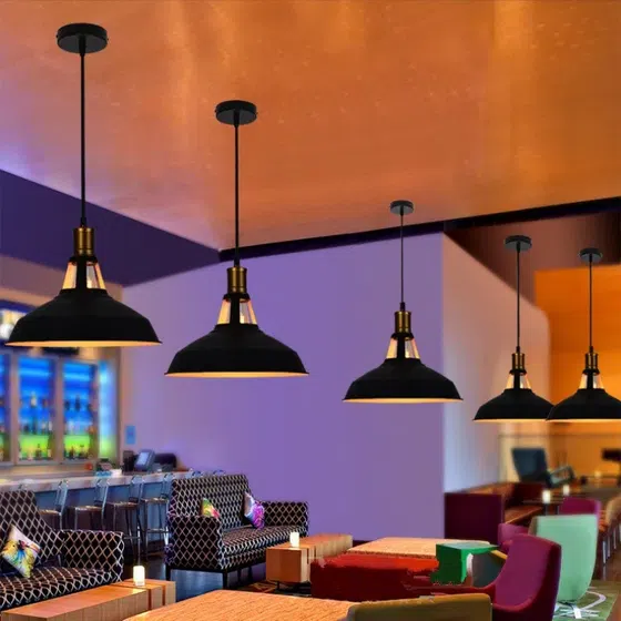 E27 White Black Iron Pendant Light in Iron, installed view