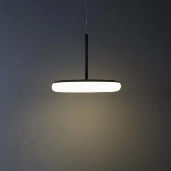 Matt Black White LED PE Pendant Lamp in Iron and PE, installed view