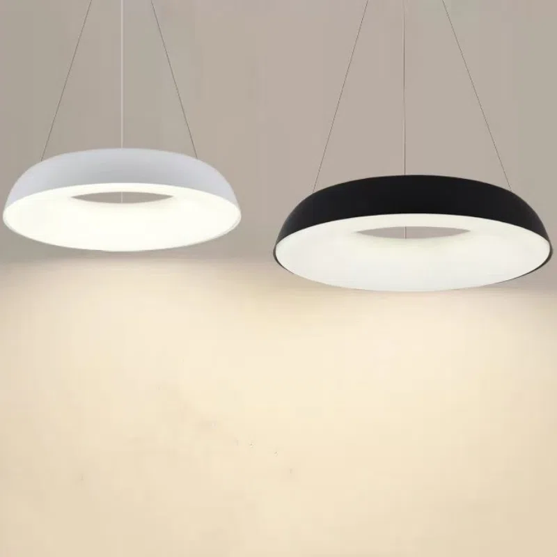 D48/58cm Ring Iron PE Pendant Lamp in Iron and PE, product photograph
