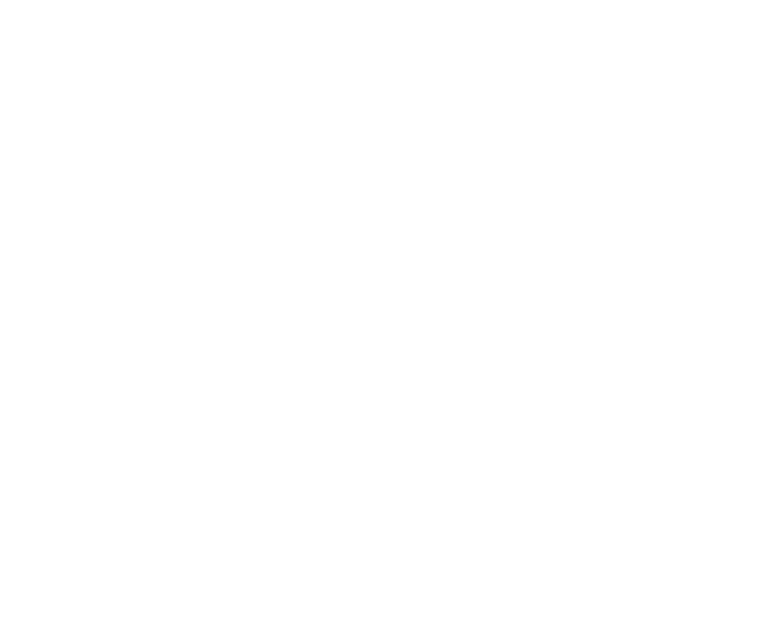 ZN Sanitary
