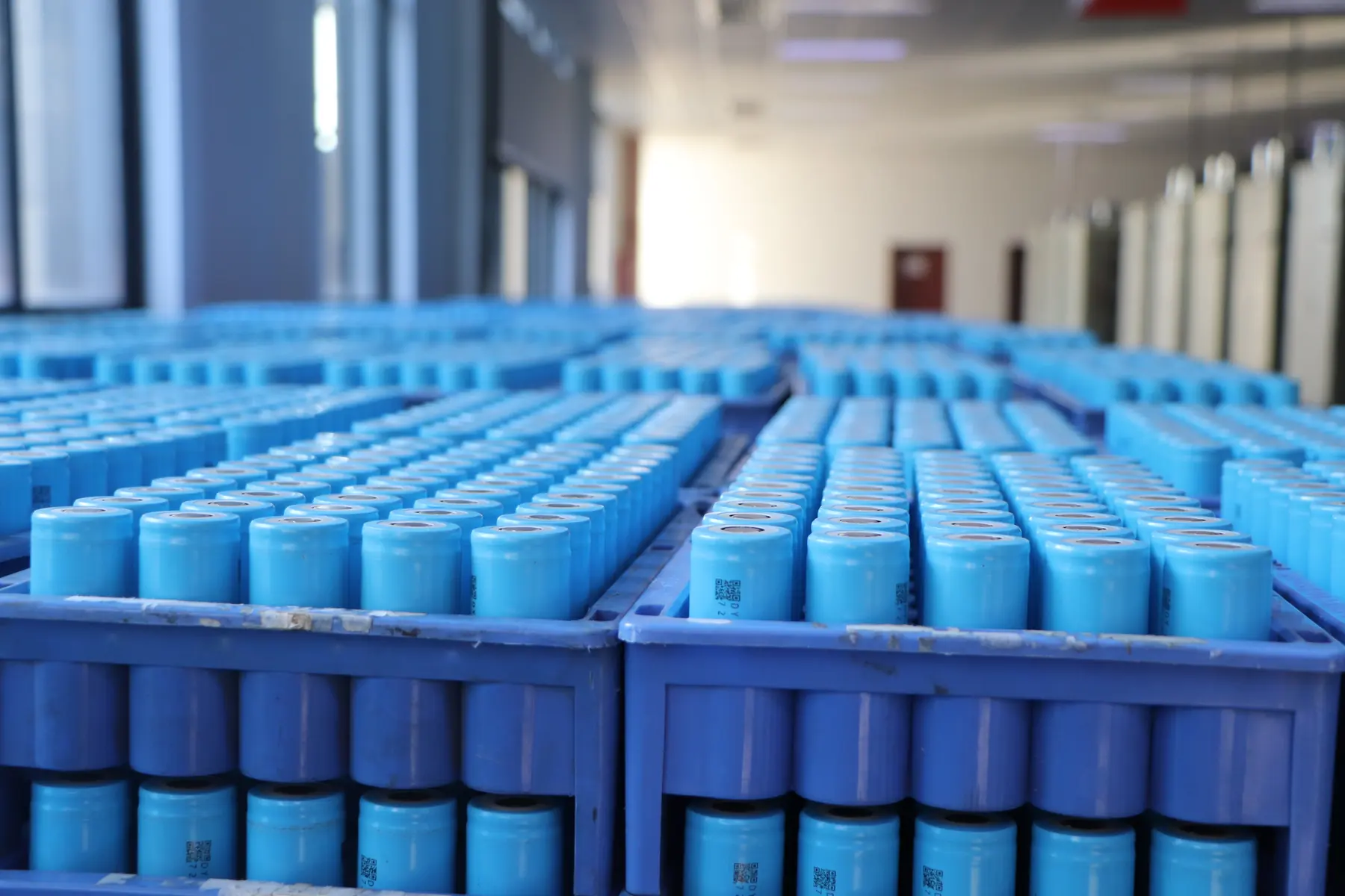 Cylindrical LiFePO4 cells staged in blue trays before module assembly
