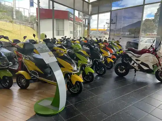Electric Two And Three Wheelers