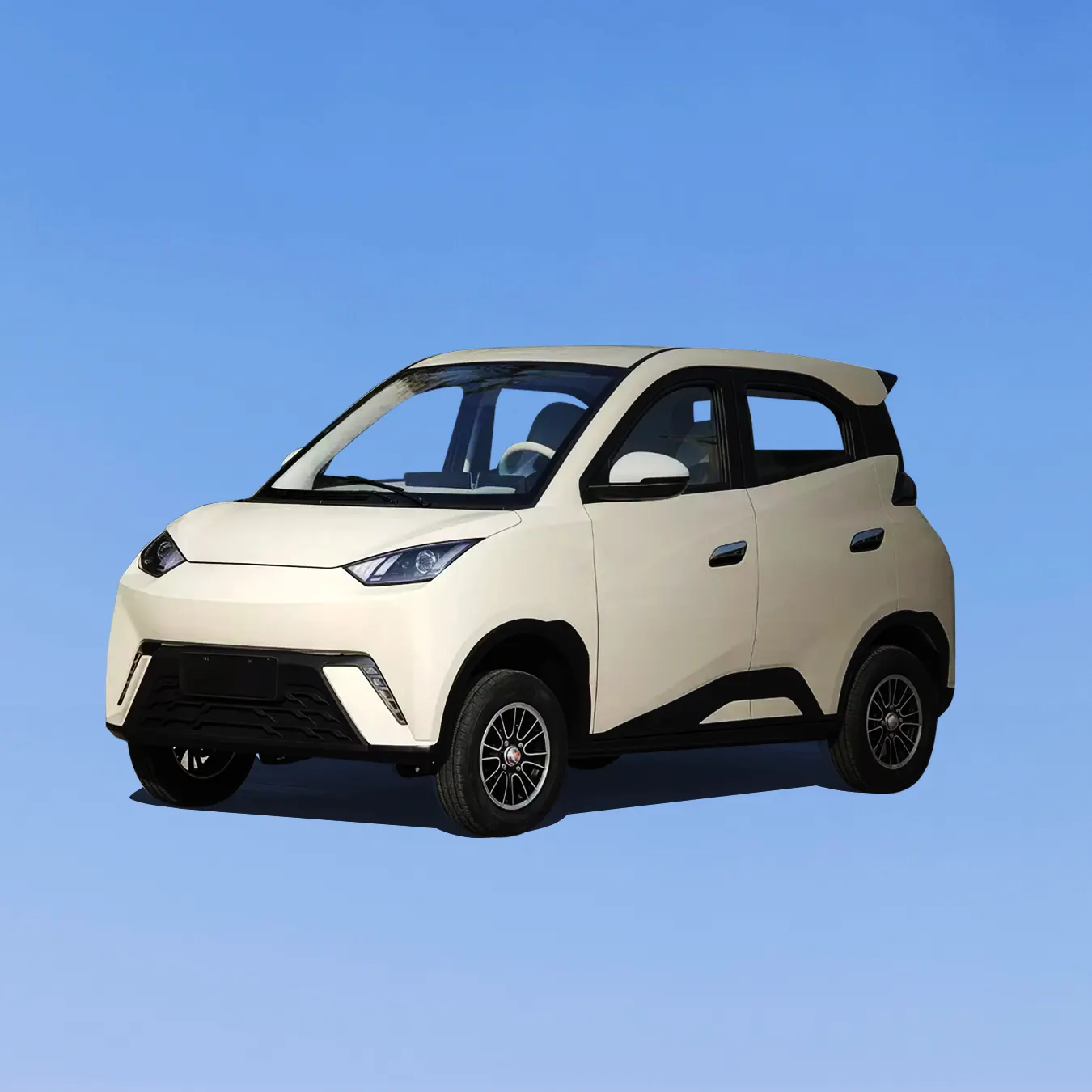 EV MINI SEAGULL