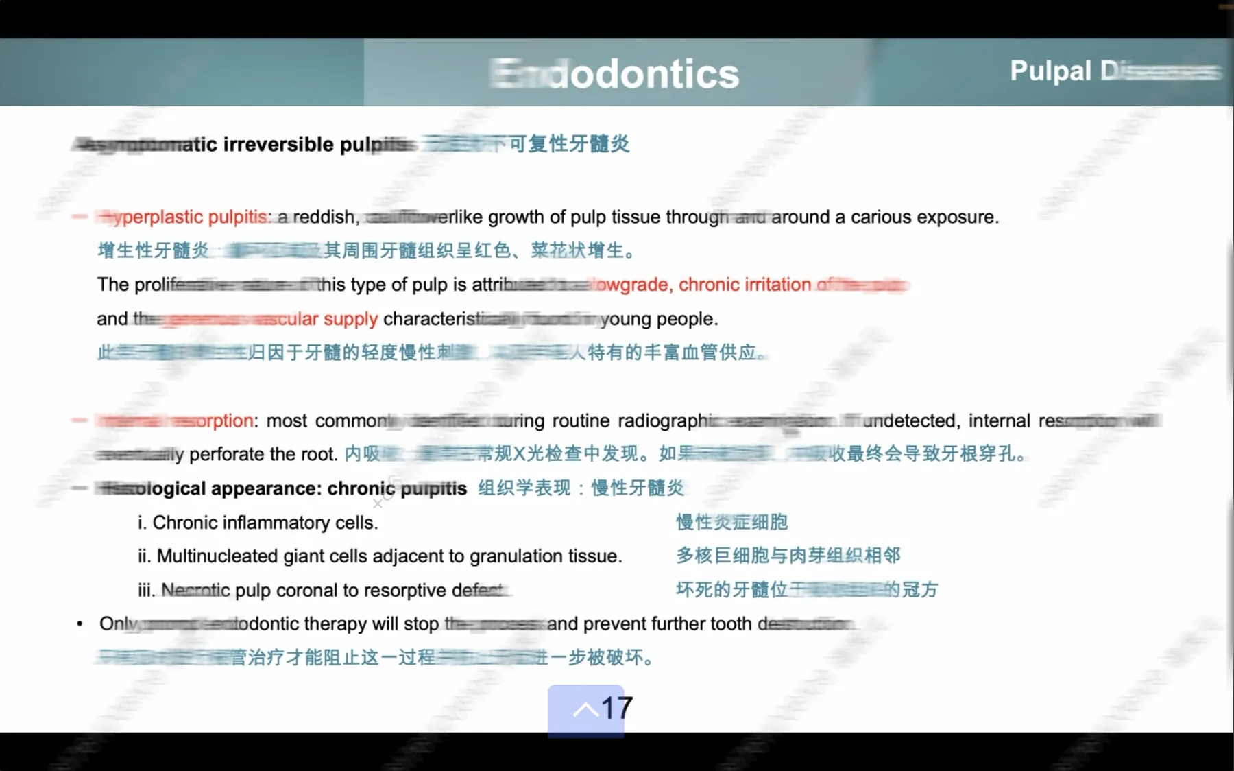 港牙培训开课48小时:我们把最难的课放在第一天,然后发生了什么?配图