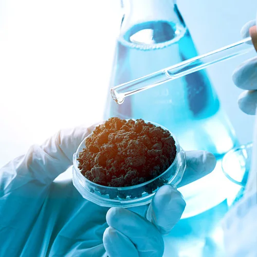 Material Analysis equipment supplied by ZYLAB