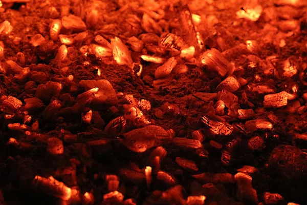 How to Produce High-Quality Biochar Using a Muffle Furnace: A Detailed Guide
