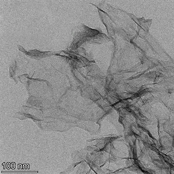 Nitrogen-Doped Carbon-Iron Single-Atom Catalyst