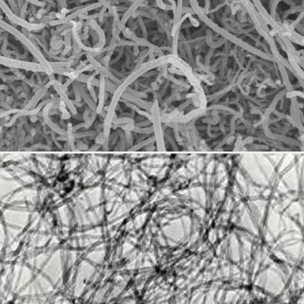 STEM image of multi-walled carbon nanotubes